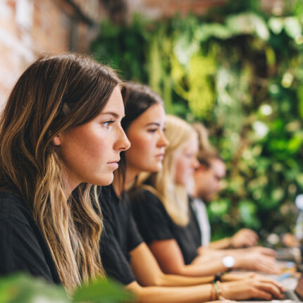 Diverse Team of Women Working on Laptops in Green Office Space